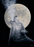 Stephen Muldoon Stephen Muldoon Full Moon Serenade (Large) (SN)